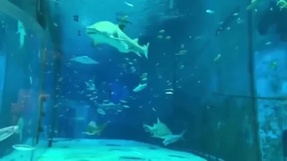 金庸群侠传
